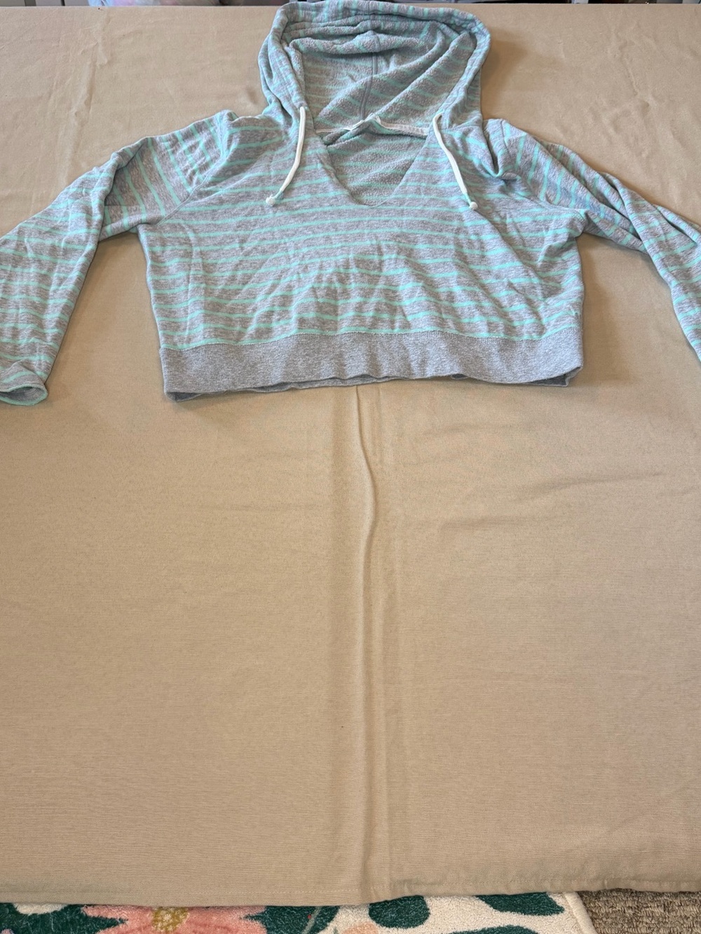Victoria's Secret Gray and Mint Striped Cropped Hoodie Sweater